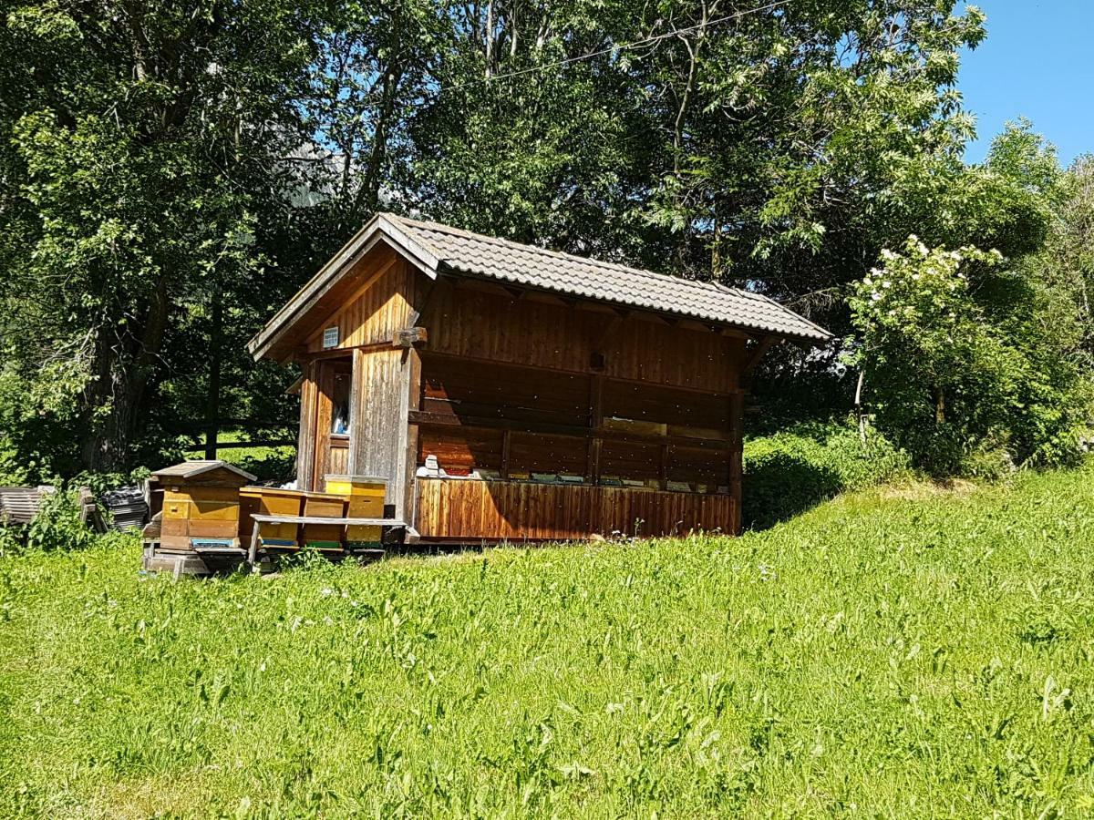 Apartments Landheim Antholz Mittertal Exterior foto